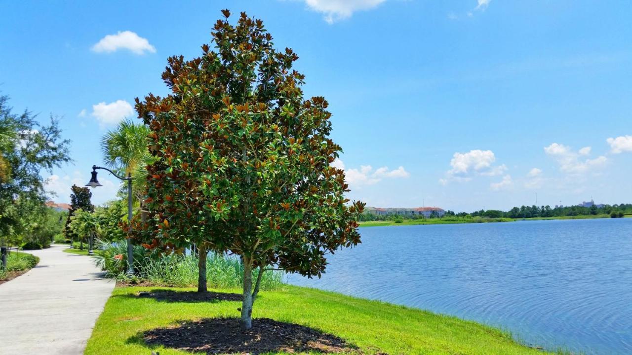 Luxury Vacation In This Gorgeous Vista Cay Condo Kissimmee Exterior foto